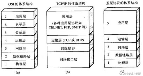 计算机网络的分层结构 构建互联世界的基石